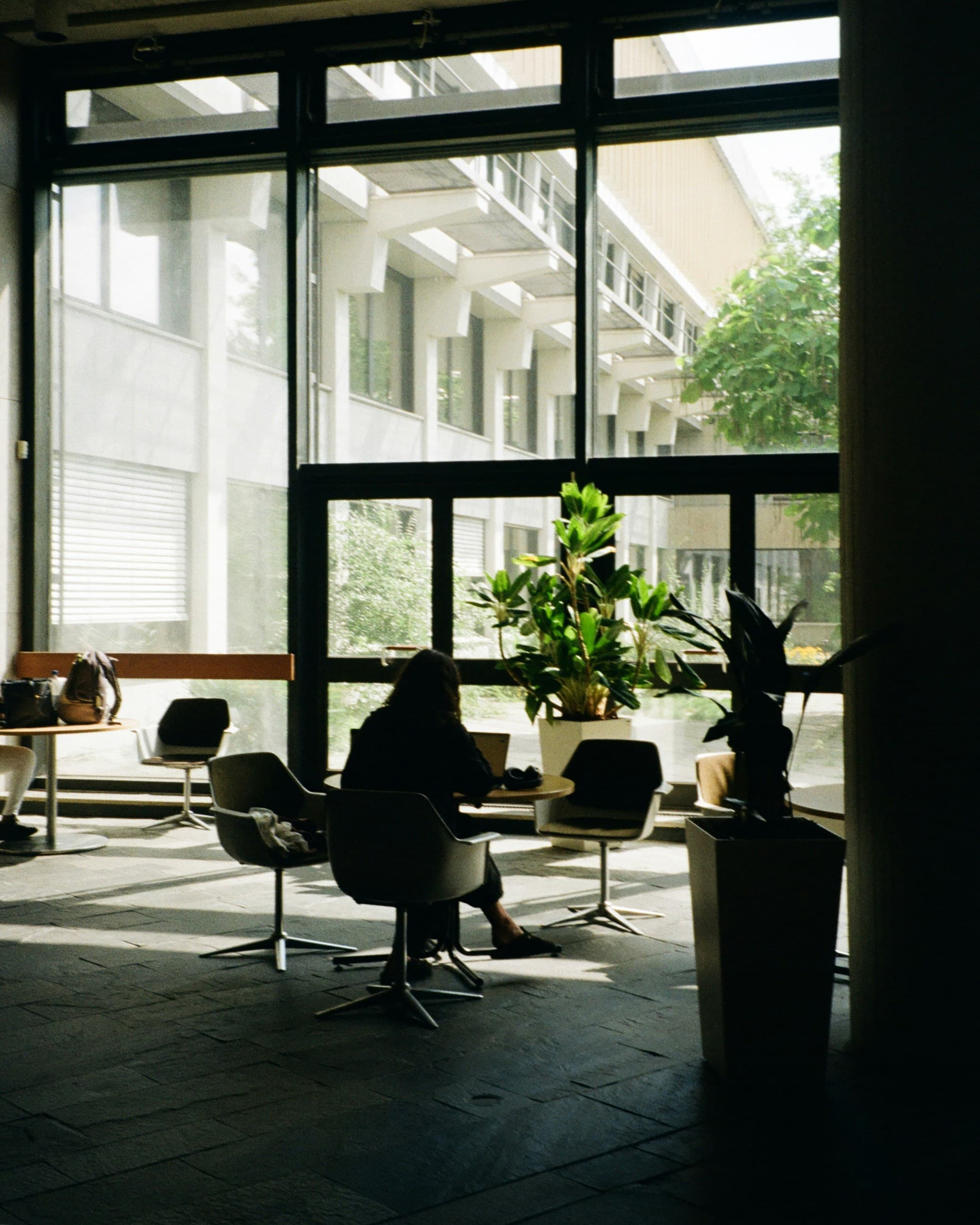 Silhouette of a person in a sunlit lobby with large windows and potted plants.